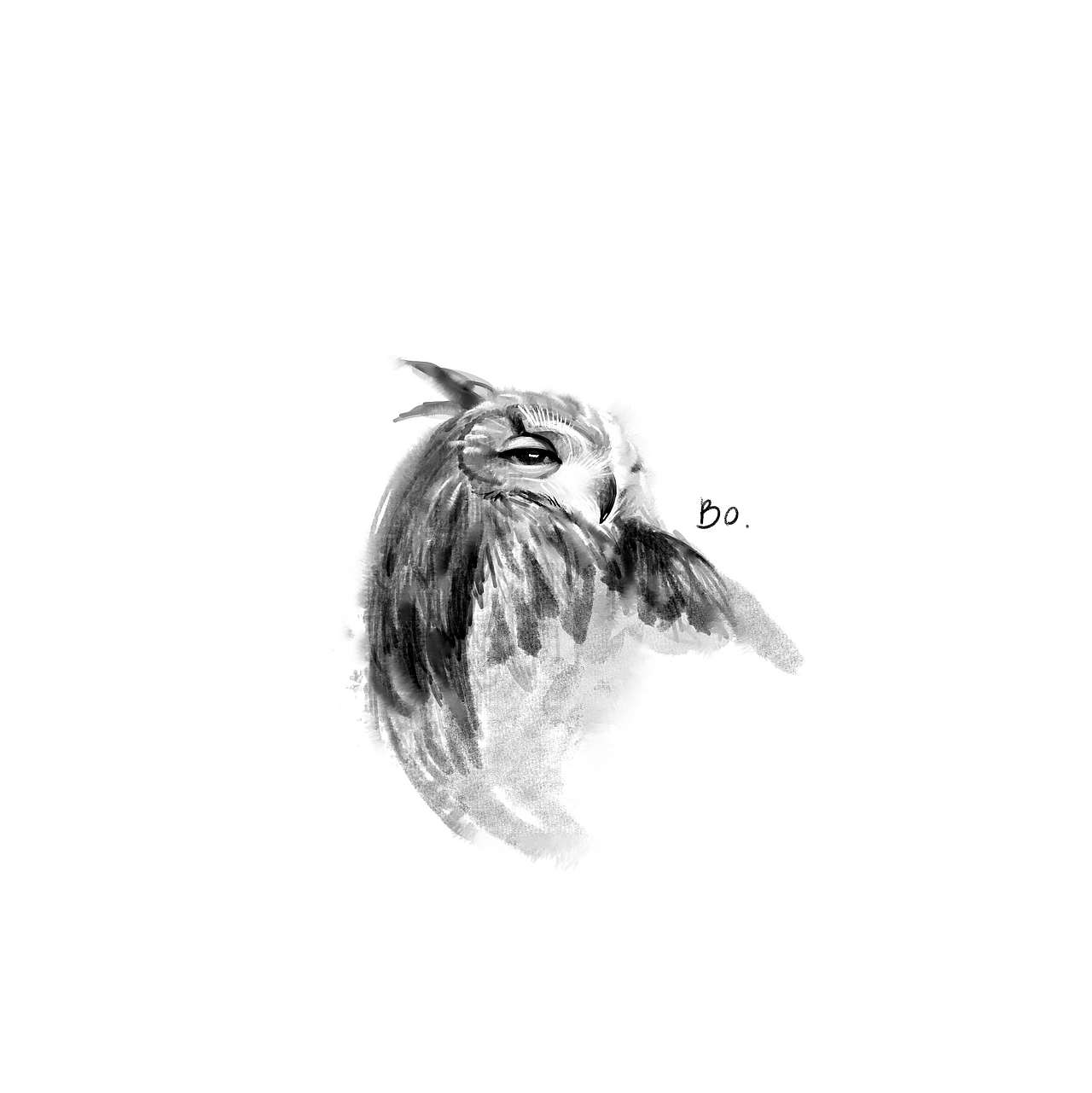 忙波iPad Pro 绘画 猫头鹰（图ZMTM2NzYyNjU2） - 创作习作 - 站酷设计师忙波原创素材 - 站酷ZCOOL