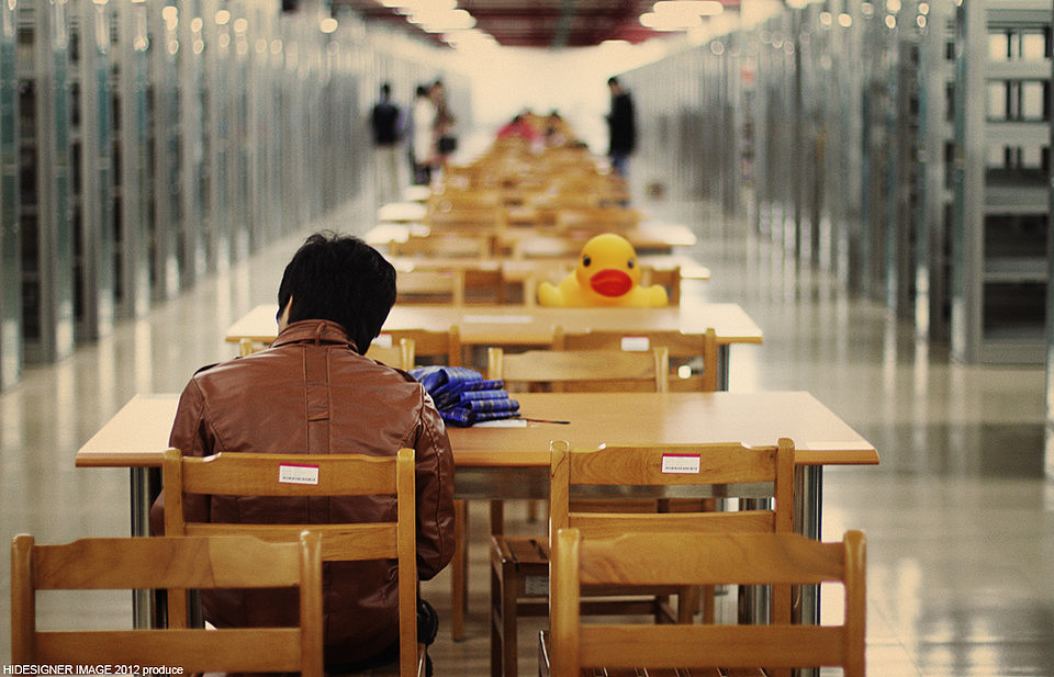《一只穿雨衣的折翼天鹅的大学生活》