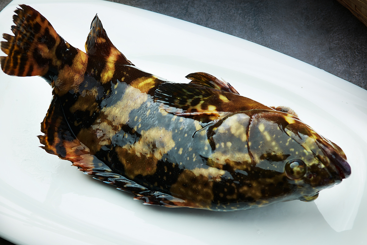 深圳餐饮菜品饮品拍摄