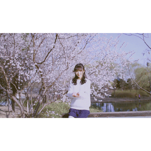 樱花。纪（图ZNDc1MTU3NjA=） - 人像摄影 - 站酷设计师jefflkc原创素材 - 站酷ZCOOL