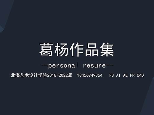 葛杨的个人简历作品集