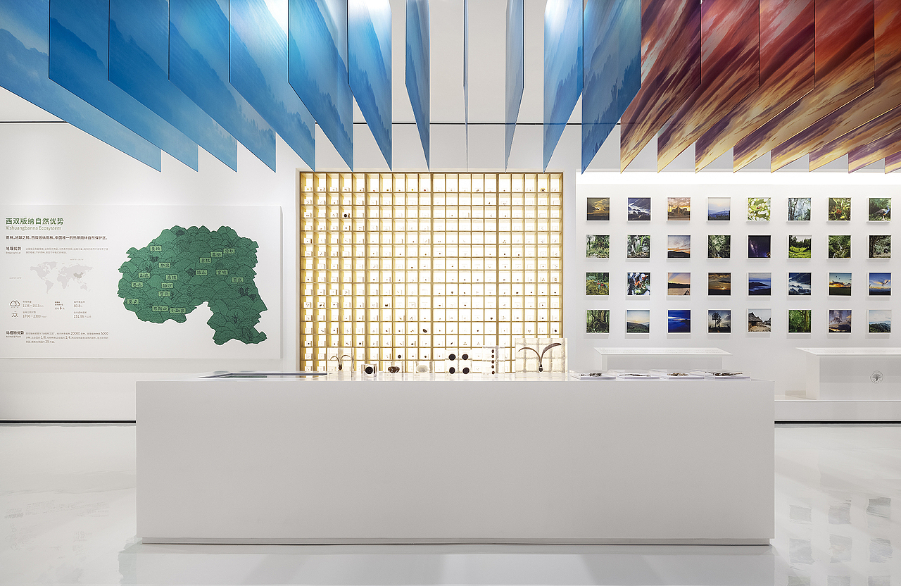 沉浸体验时代，雨林古树茶的体验之旅（图ZMjk0OTg0MTg4） - 展陈设计 - 站酷设计师容品牌原创素材 - 站酷ZCOOL