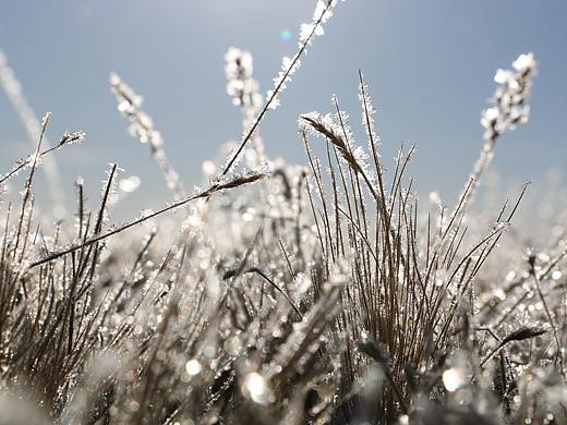 青海省玛多县雪景