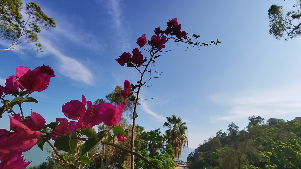 厦门湖边建筑风景