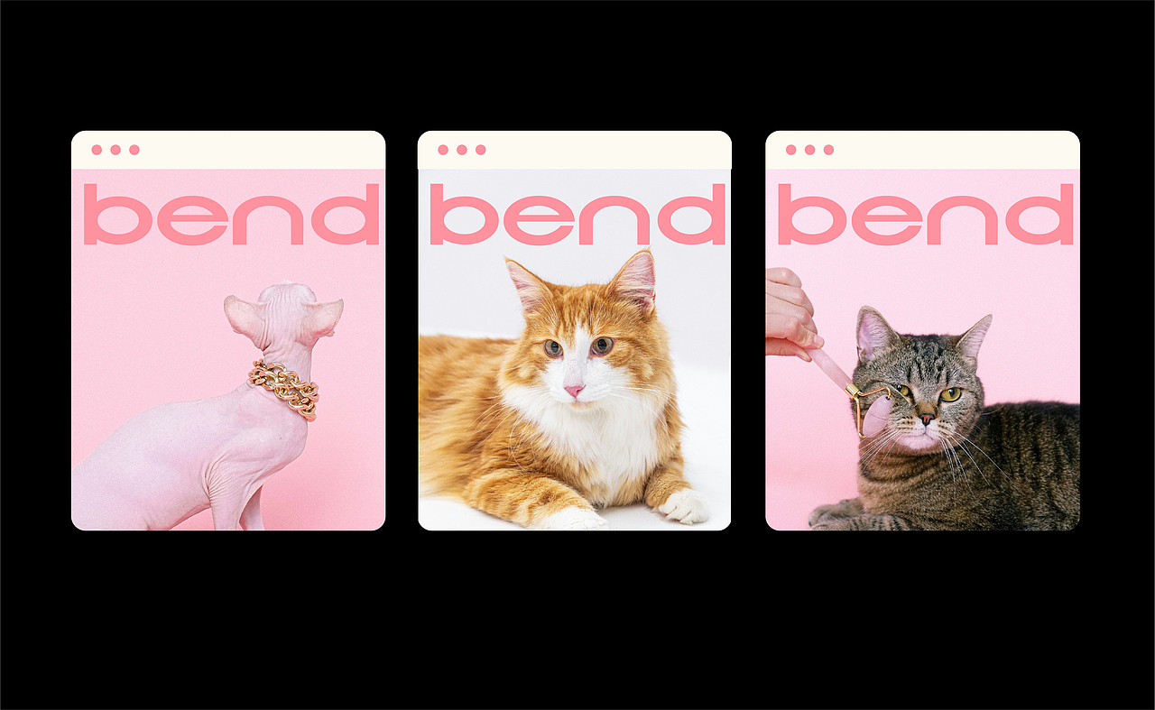 bend宠物品牌包装设计 | 猫 宠物 品牌(图ZMzcwNjkxODIw) - 品牌 - 站酷设计师小赖排树品牌设计原创素材 - 站酷ZCOOL