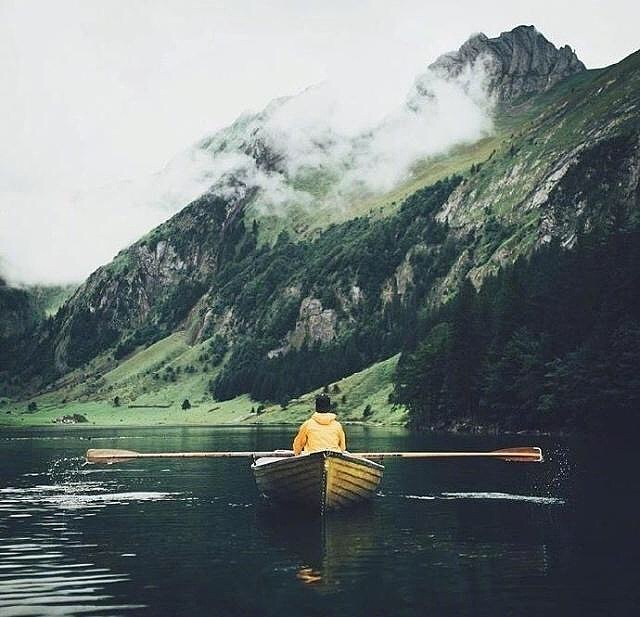 2020朋友圈经典晒图