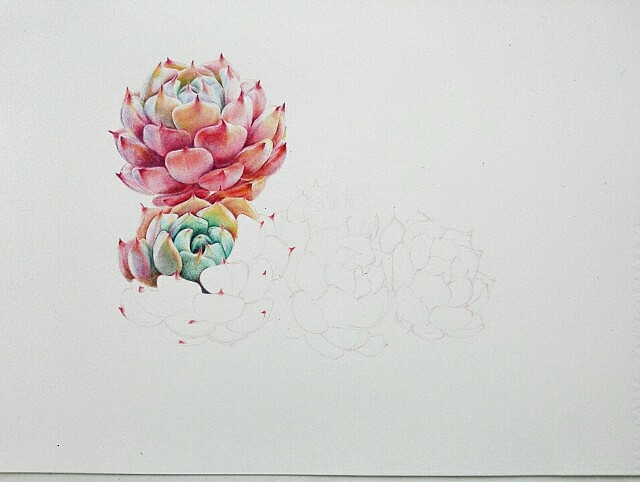 彩铅红爪（图ZNjk4NDY5NDQ=） - 创作习作 - 站酷设计师婳画原创素材 - 站酷ZCOOL