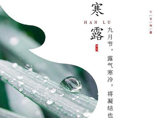 寒露海报