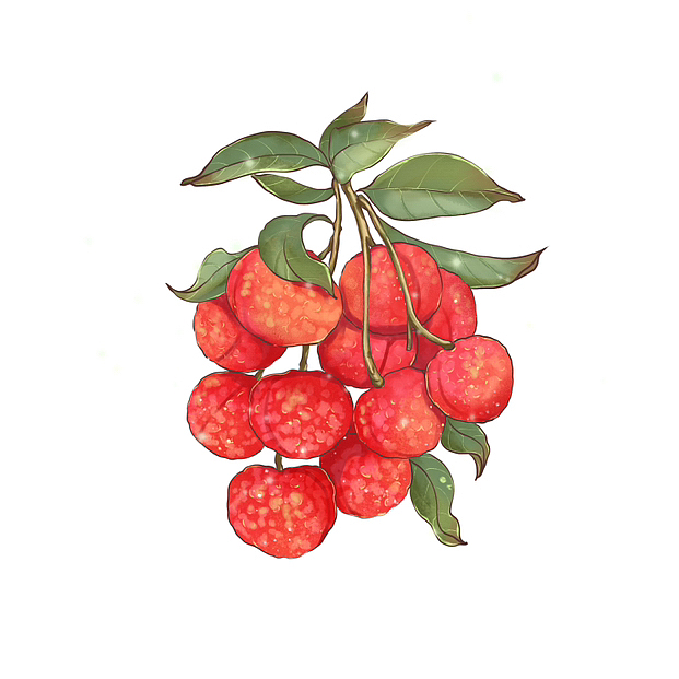 插画水果合集(24节气)