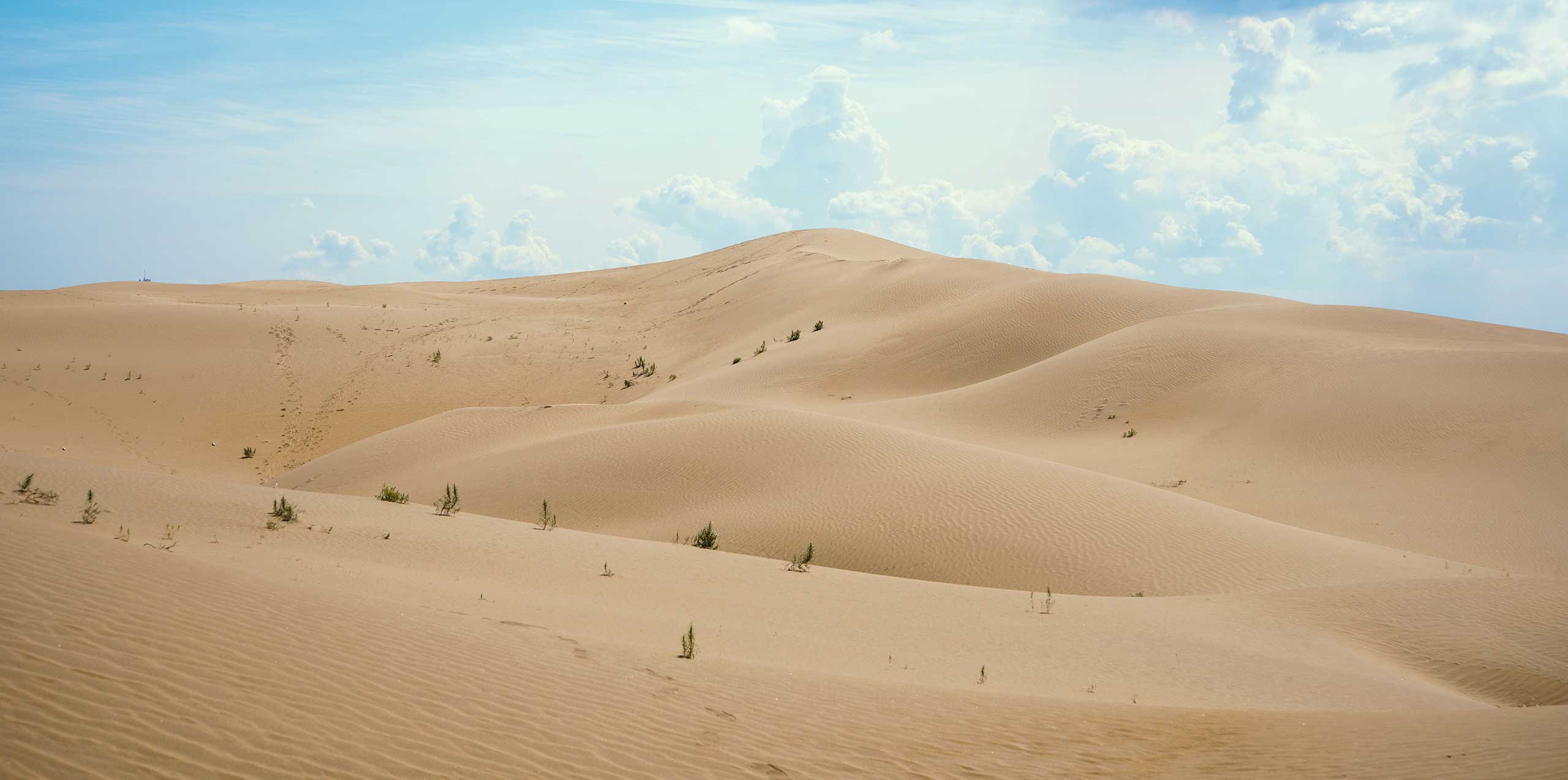 zhouwei0928的個(gè)人主頁(yè)（背景預(yù)覽） - 主頁(yè)背景設(shè)置 - 站酷設(shè)計(jì)師zhouwei0928原創(chuàng)素材 - 站酷ZCOOL