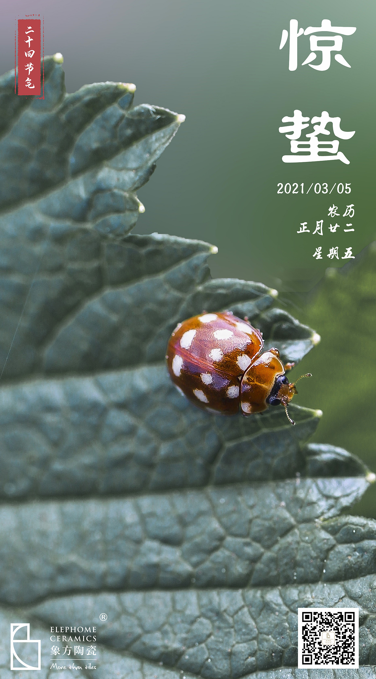 二十四节气海报（图ZMjc2MzUyMzcy） - 海报 - 站酷设计师广州中本设计原创素材 - 站酷ZCOOL