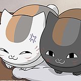 冥猫的头像