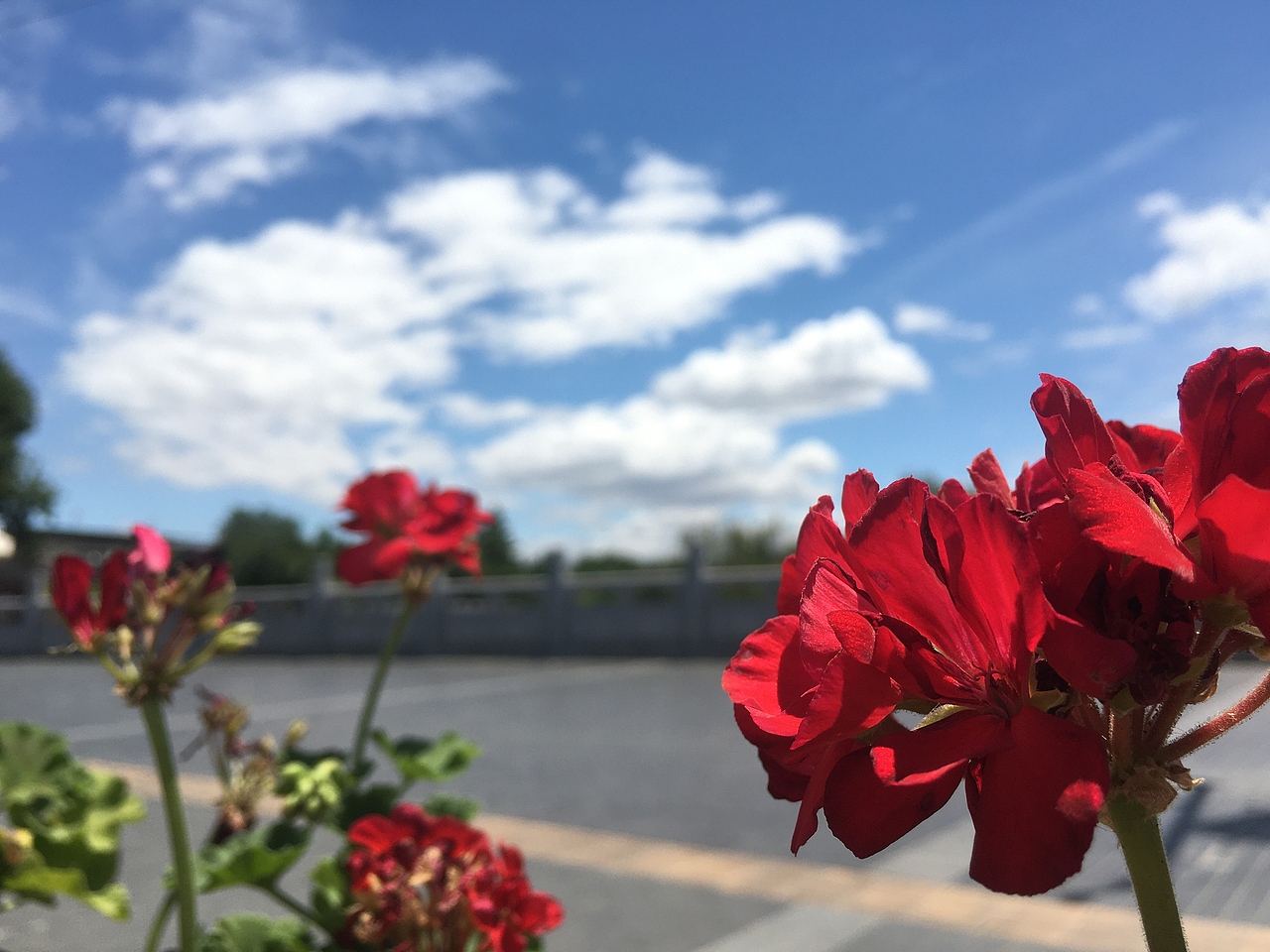 感慨（图ZMzE1NDMxNTA0） - 创作习作 - 站酷设计师海林娜原创素材 - 站酷ZCOOL