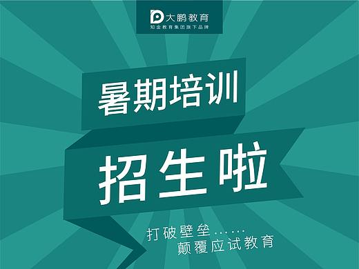 DM单页