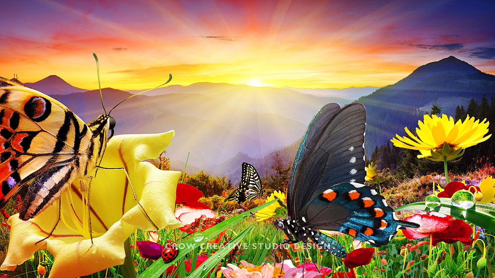 长虹Umax电视高清屏保（图ZODk2MDY2OA==） - 文案/策划 - 站酷设计师乌鸦群飞原创素材 - 站酷ZCOOL