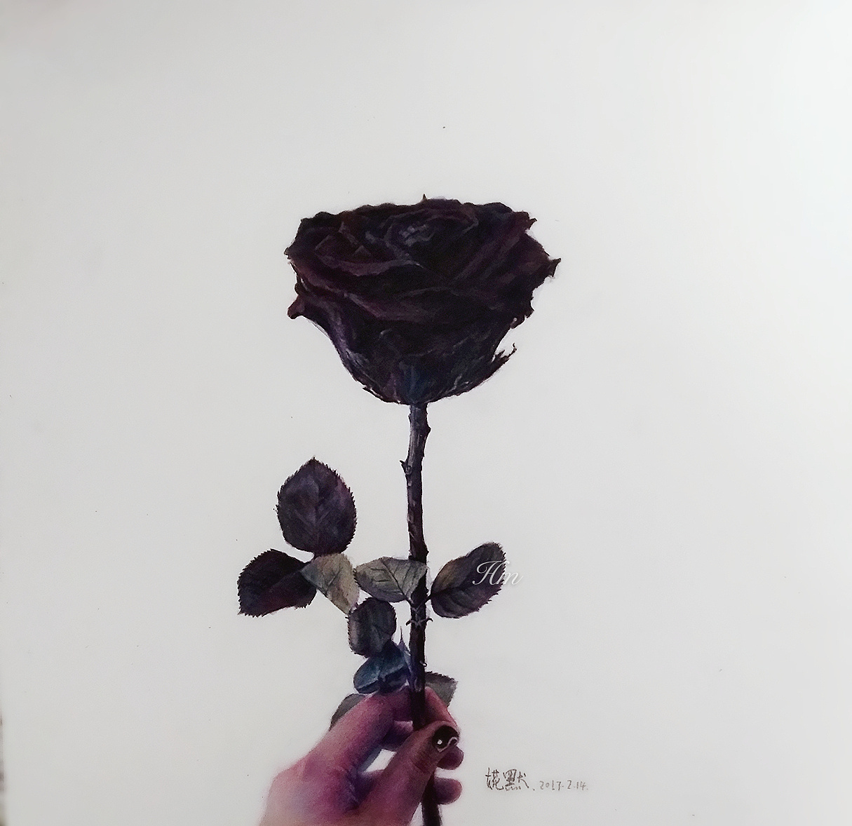 水彩黑玫瑰花束插画图片素材_ID:385165350-Veer图库