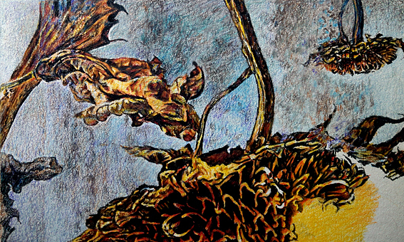 彩铅的魅力 —《向日葵》