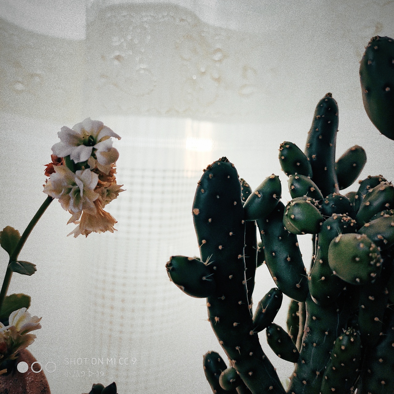 小众摄影风格照片集色彩感