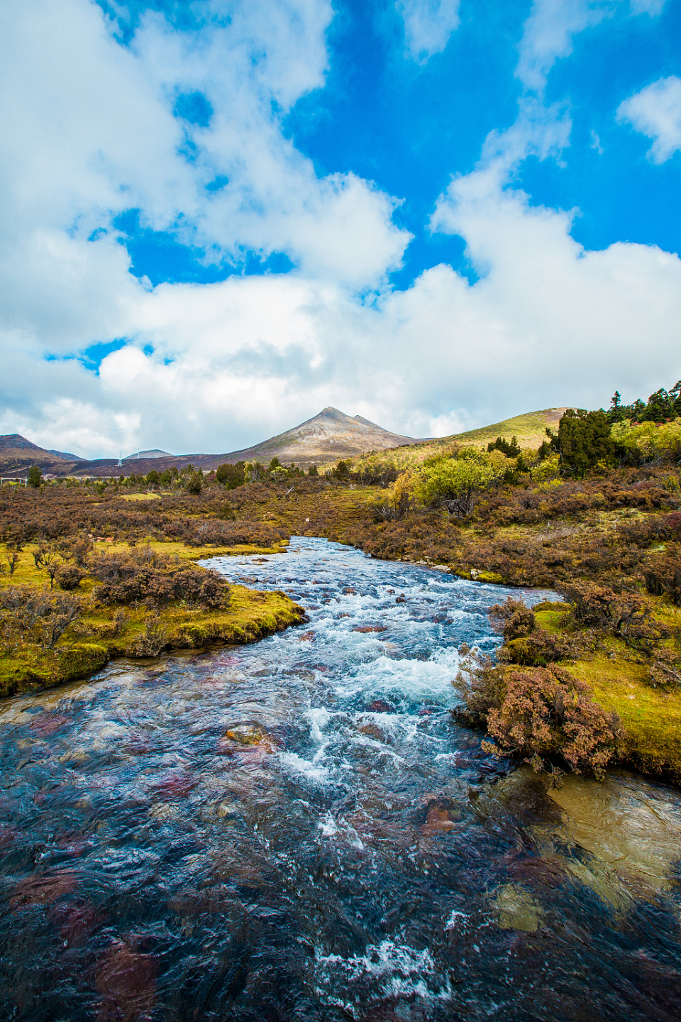 《那年西藏行》--周恩旭