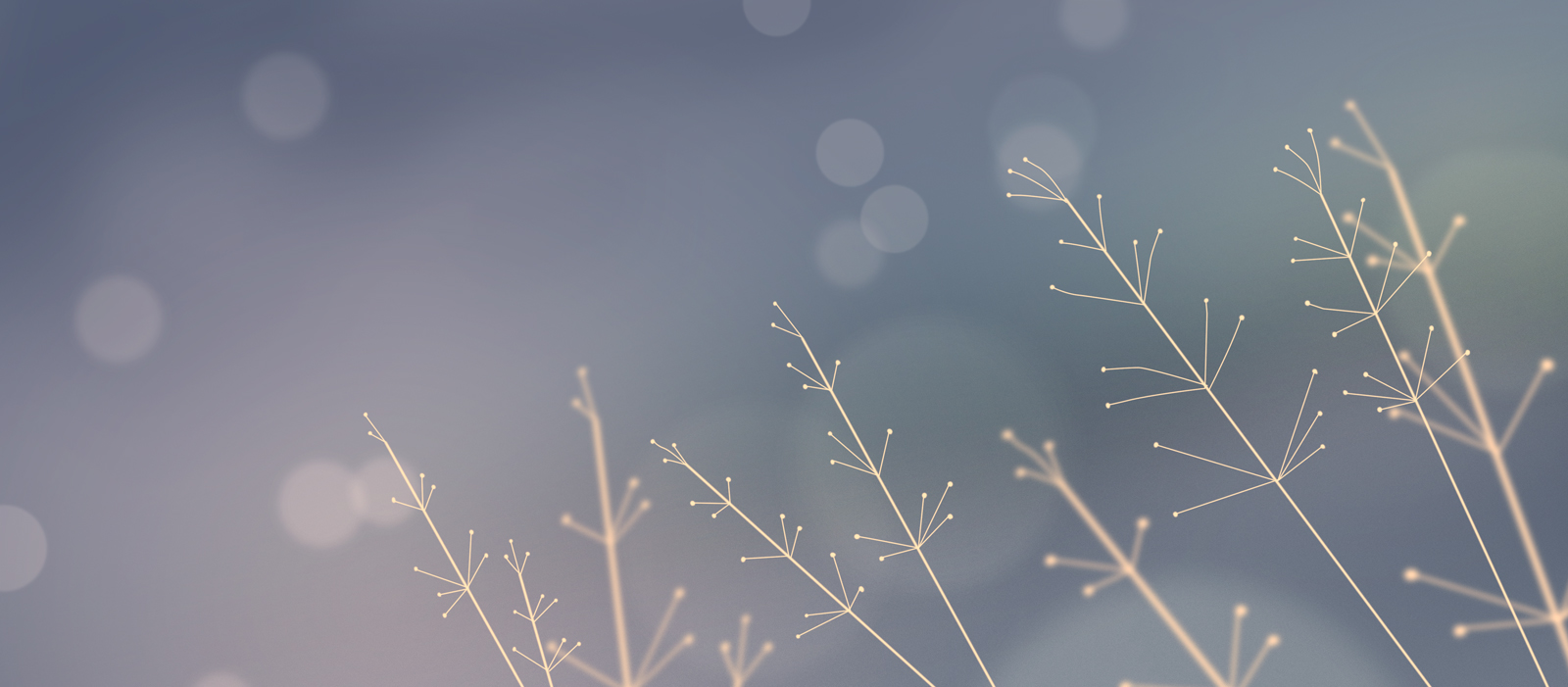 阿瑩的個(gè)人主頁(yè)（封面預(yù)覽） - 主頁(yè)封面設(shè)置 - 站酷設(shè)計(jì)師阿瑩原創(chuàng)素材 - 站酷ZCOOL