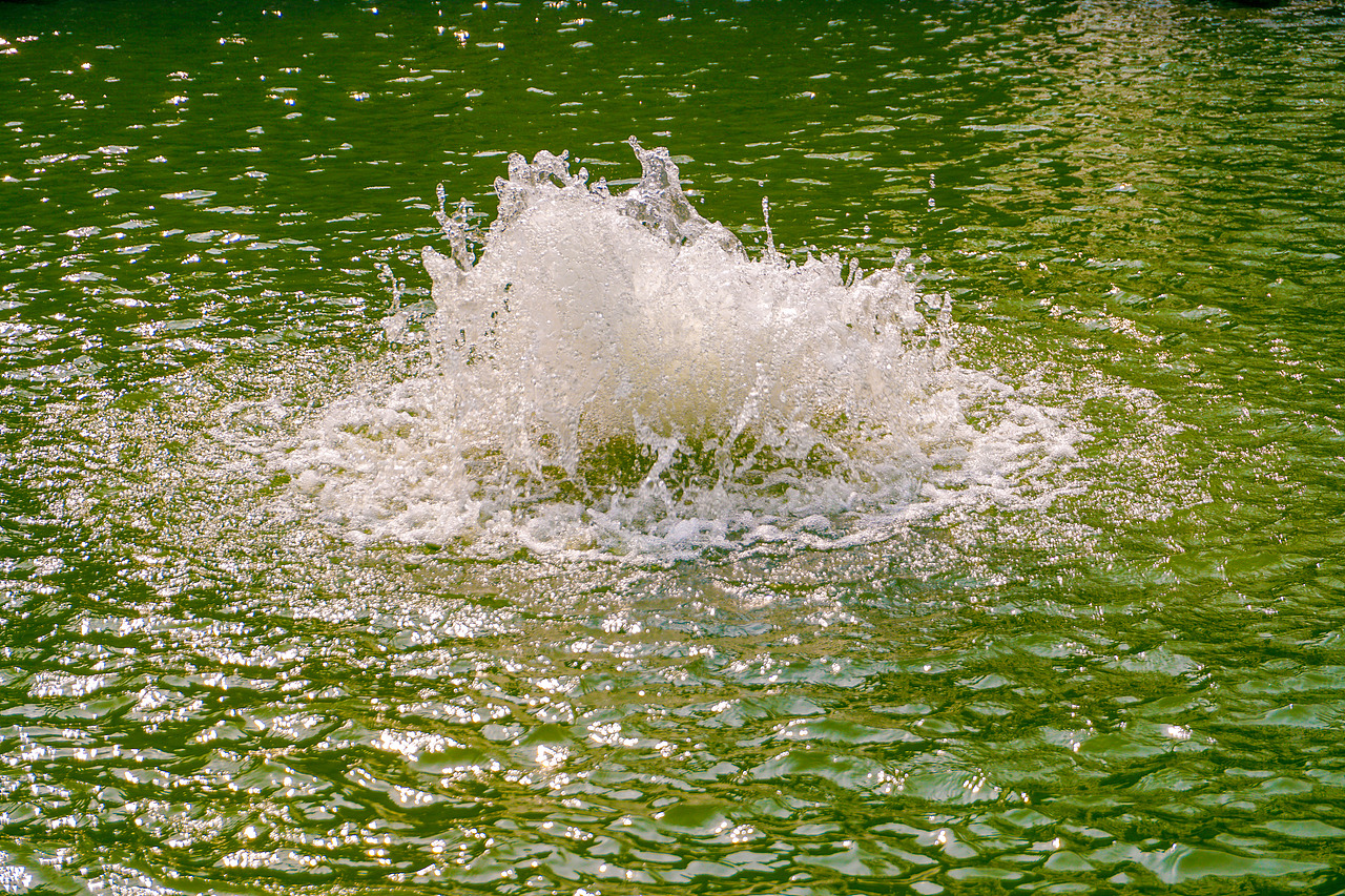 微风轻拂，阳光不燥，三月掠影去