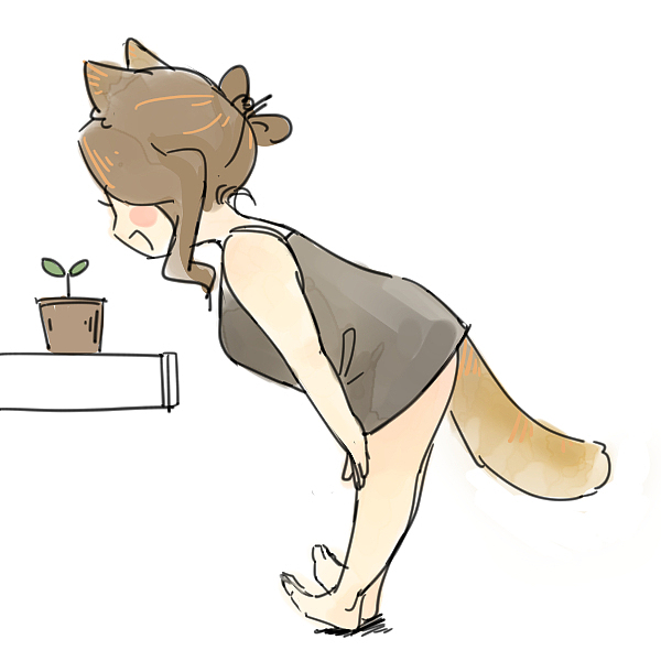 荀貓（圖ZMTYxNjQwNDAw） - 網(wǎng)絡(luò)表情 - 站酷設(shè)計(jì)師瀟嬋原創(chuàng)素材 - 站酷ZCOOL