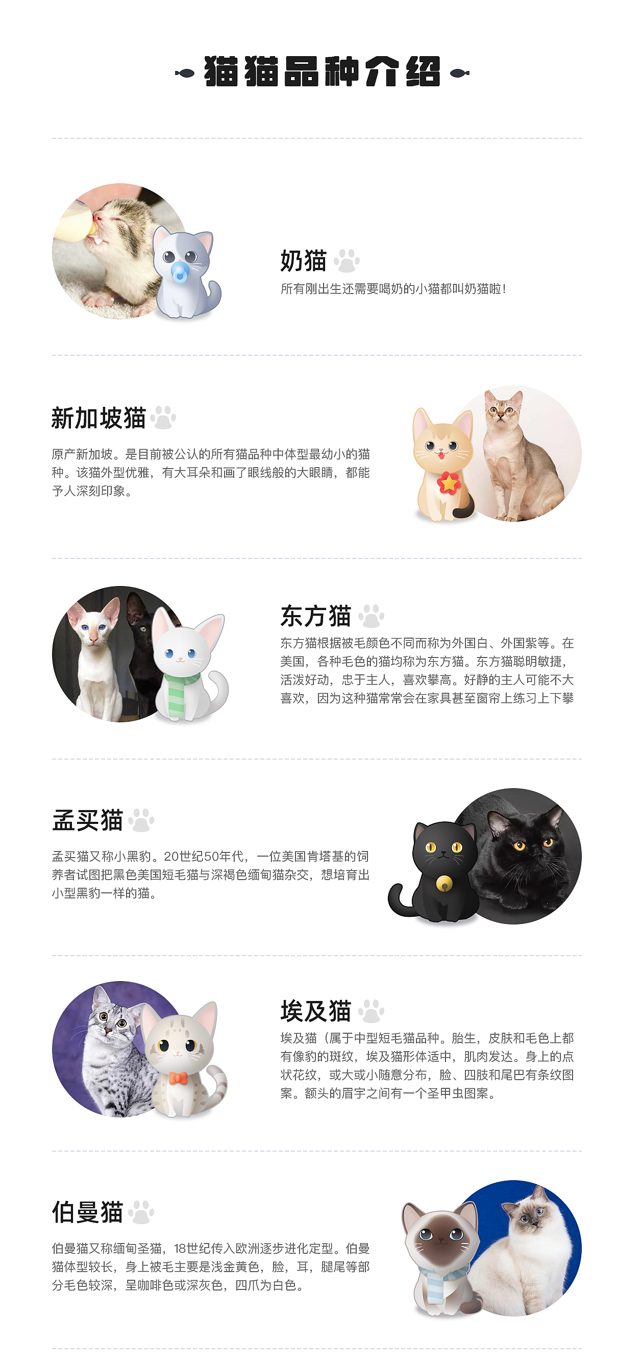 猫猫卡通形象设计