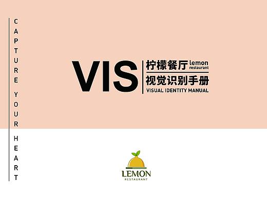 VIS手册