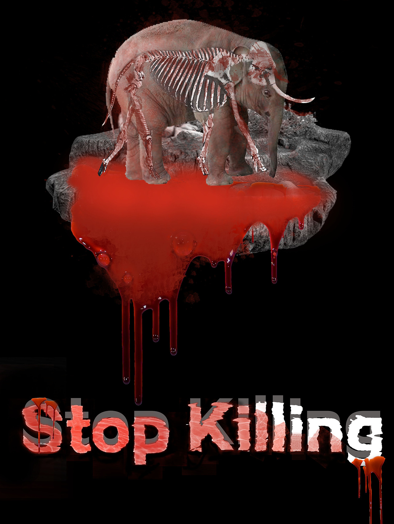 保护动物（图ZNzk1Mzc5NjQ=） - 海报 - 站酷设计师你七七七七七原创素材 - 站酷ZCOOL