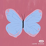 小白不咋白的头像