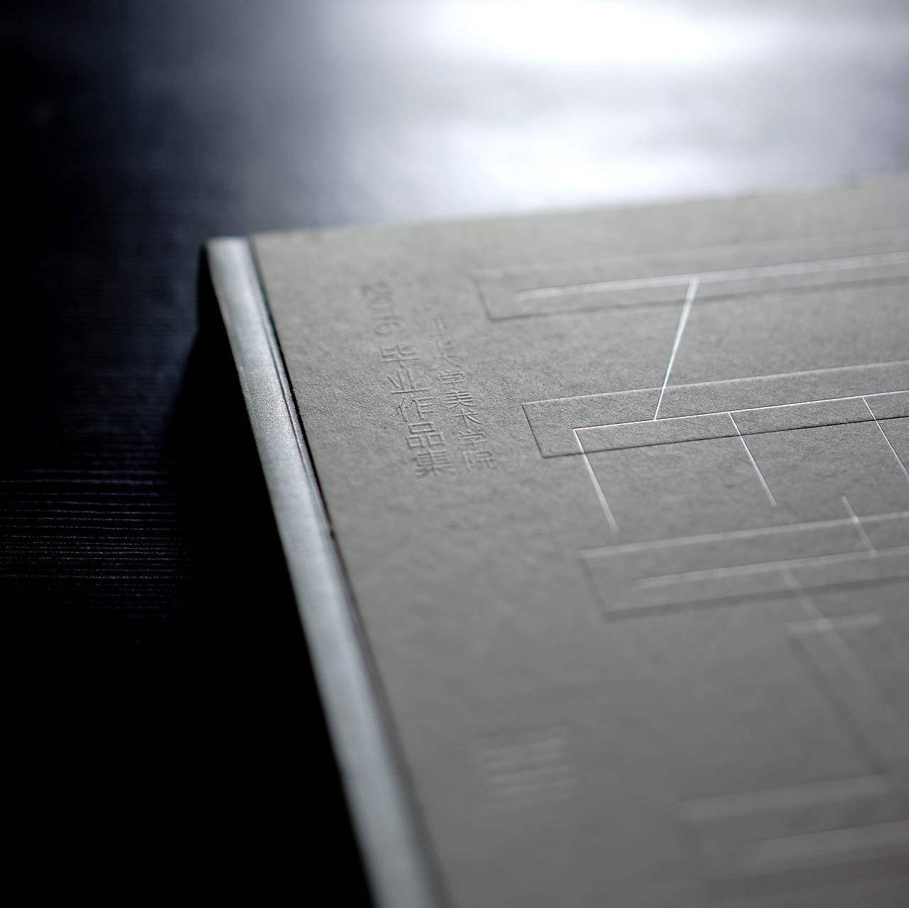 华南师范大学美术学院2016毕业作品集