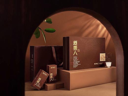 老茶人 | 因爱而生，全情绽放