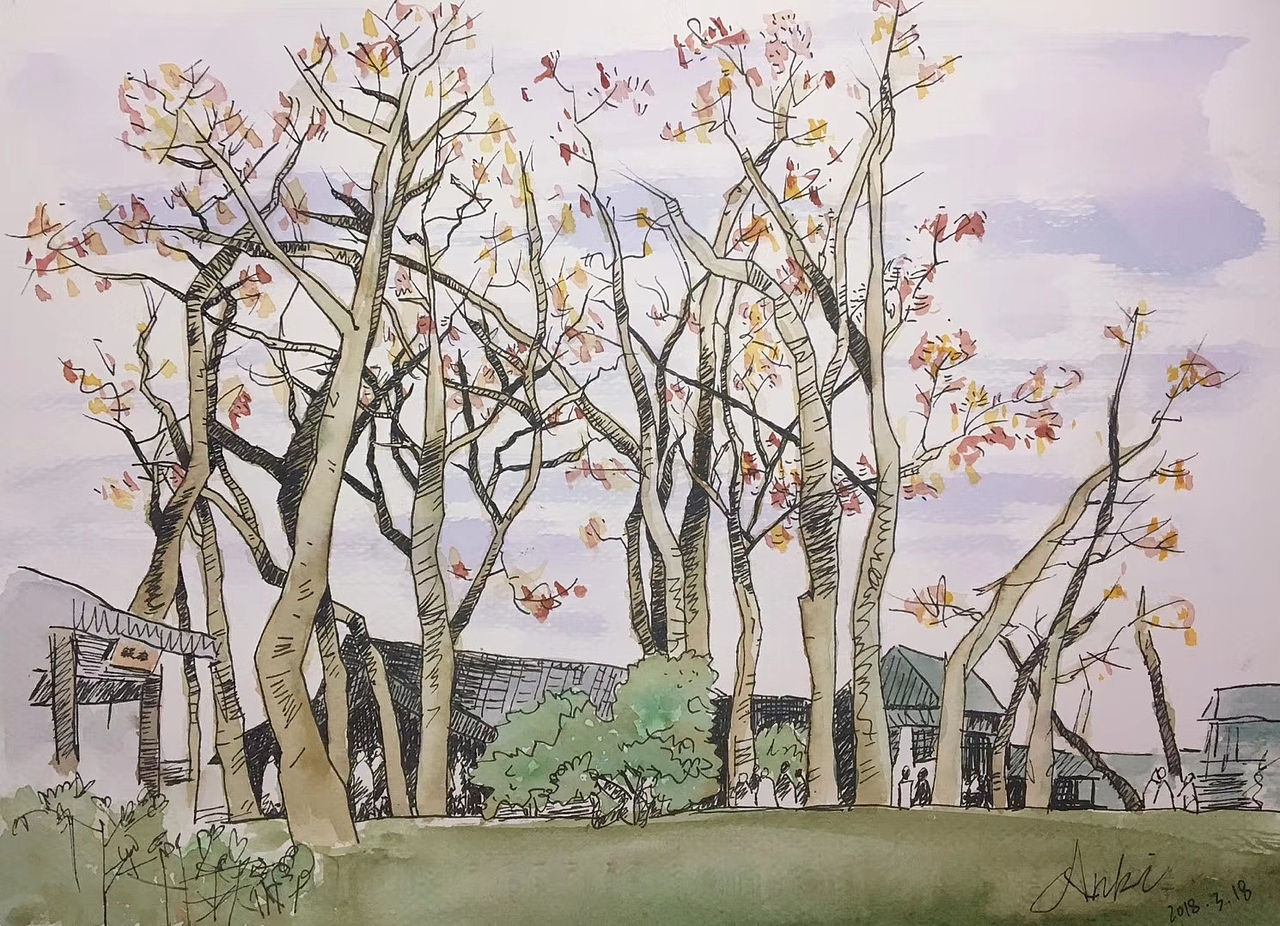 手绘合集（图ZMTY5MTczOTIw） - 创作习作 - 站酷设计师番茄不喝酒原创素材 - 站酷ZCOOL