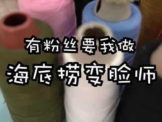 手工毛绒玩偶--海底捞变脸师