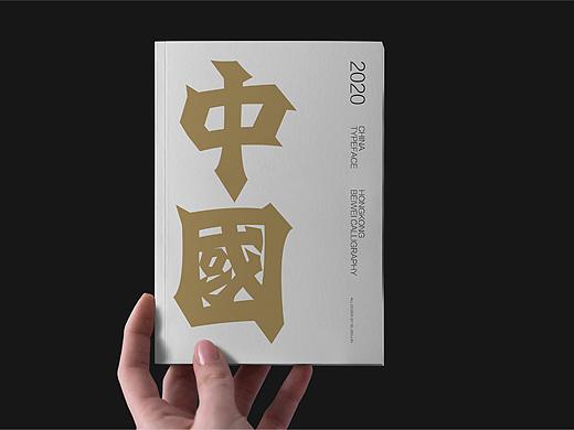中国 | 北魏书体设计