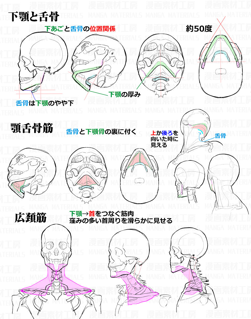 「素材」首の骨と筋肉変化+首可動のフリ part 01