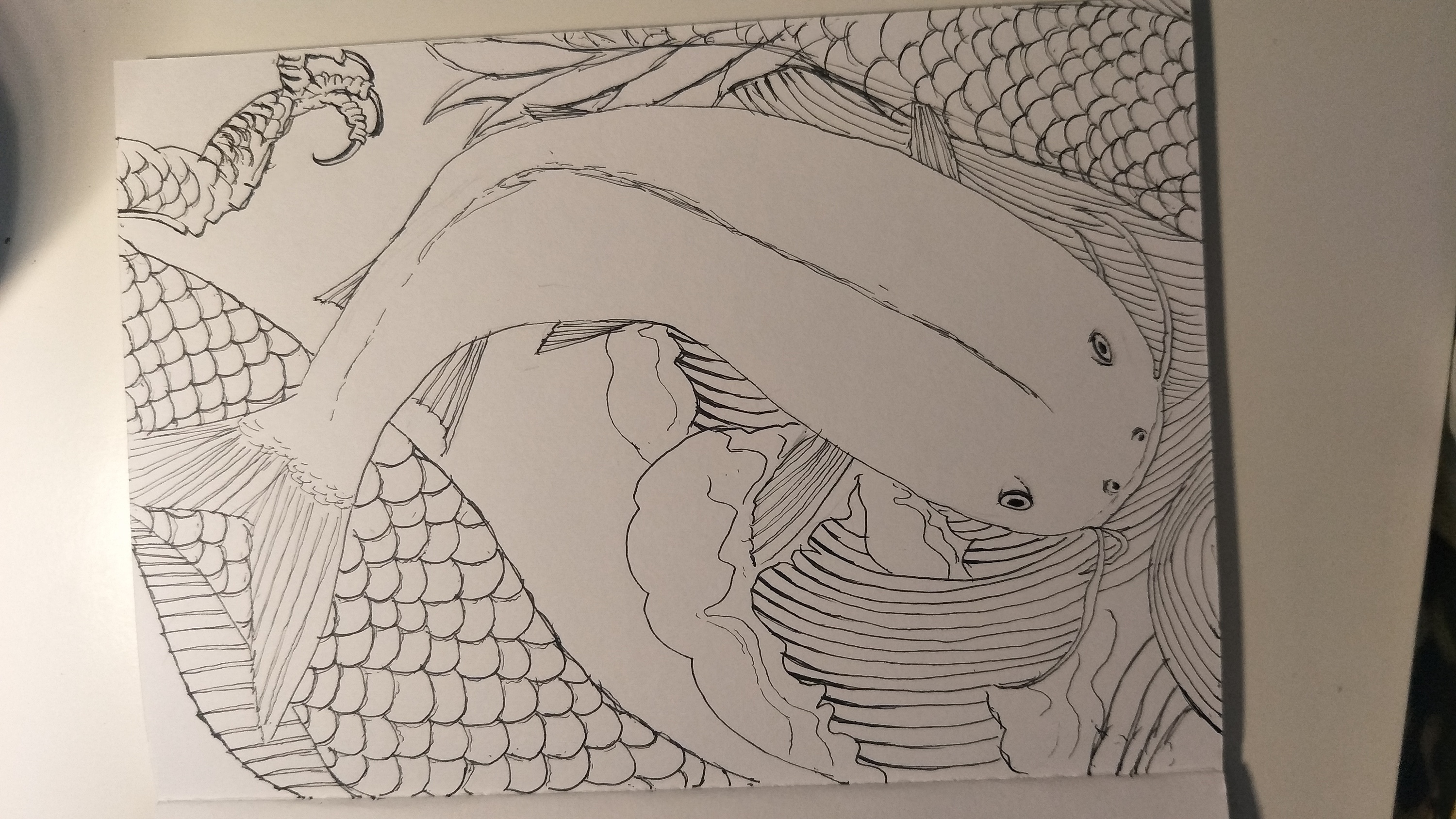 每日一涂 3 海鲶鱼|纯艺术|绘画|大娃jade - 原创作品 - 站酷 (zcool)