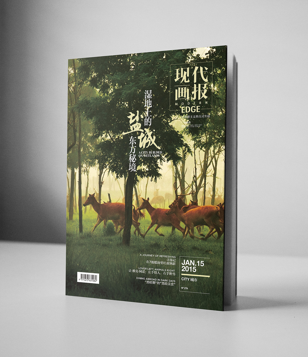 现代画报（图ZMjg4OTYwMjg=） - 书籍/画册 - 站酷设计师shiqi原创素材 - 站酷ZCOOL