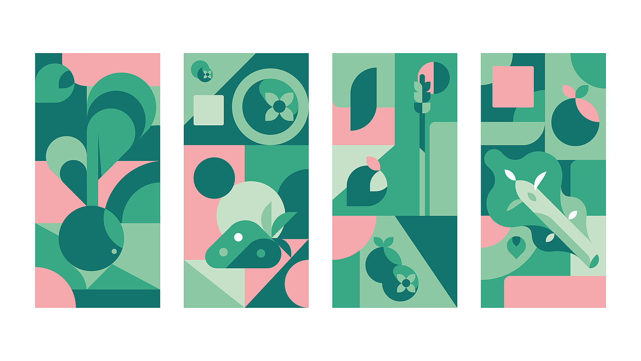 菠荔-轻食餐厅品牌设计（图ZMjgxNTU5NDc2） - 品牌 - 站酷设计师How_Long原创素材 - 站酷ZCOOL