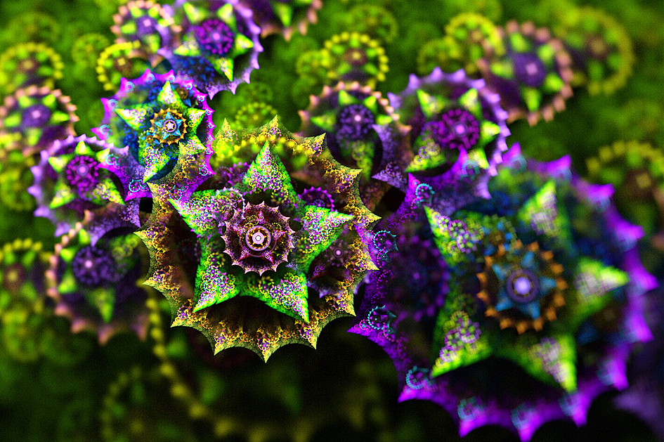 分形(fractal)第二十一辑:美丽的多肉植物及其它