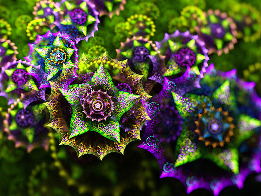 分形(Fractal)第二十一辑：美丽的多肉植物及其它