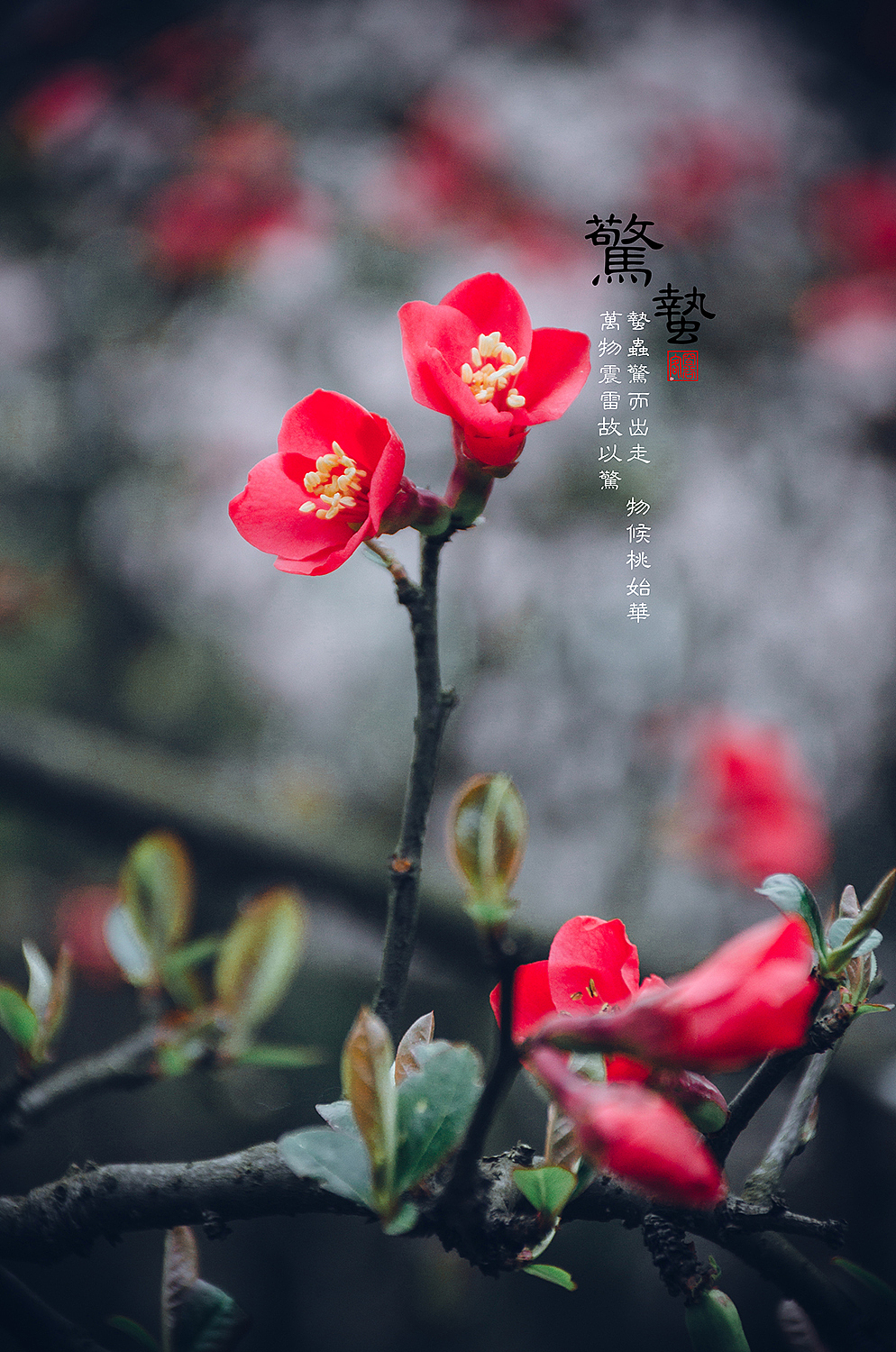 惊蛰（图ZOTYyMTE5MzI=） - 人像摄影 - 站酷设计师空谷客原创素材 - 站酷ZCOOL