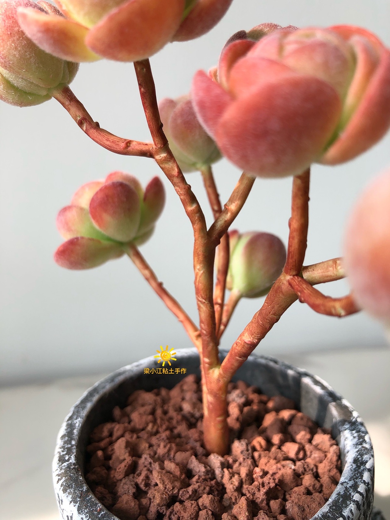 粘土多肉-橄榄球玫瑰（图ZMjM3NTQ4Nzky） - 其他手工艺 - 站酷设计师梁小江粘土手作原创素材 - 站酷ZCOOL