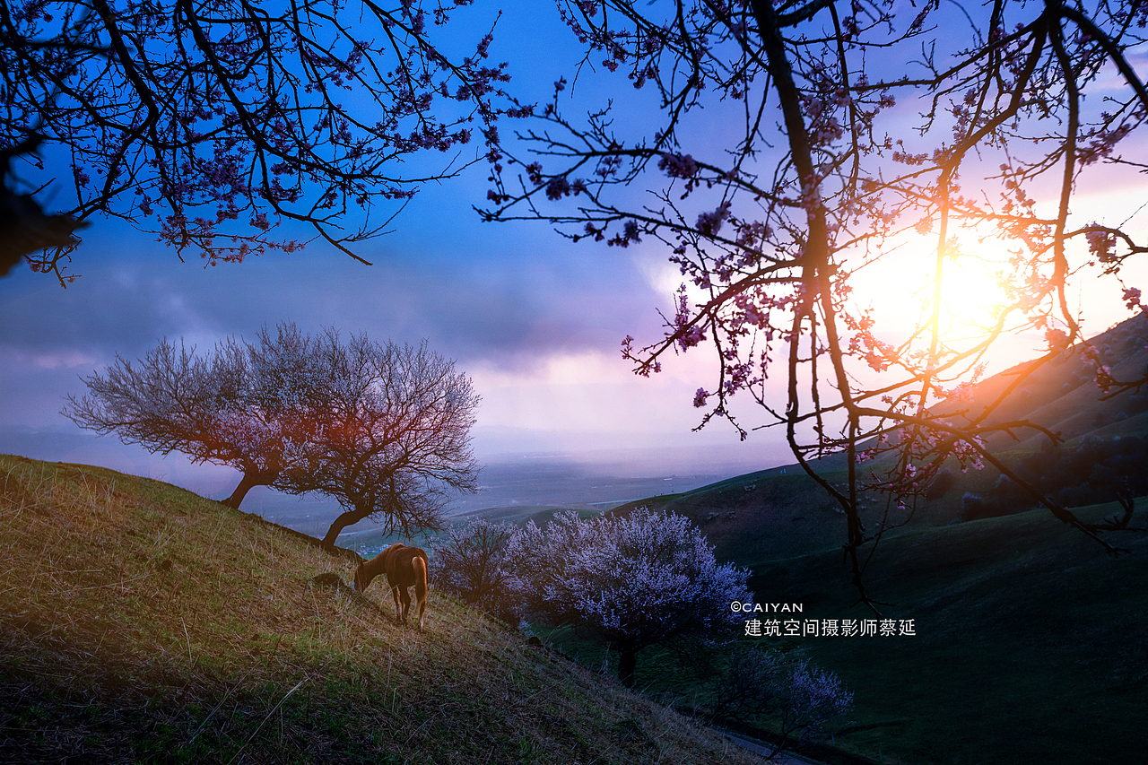 山河新疆-春季（图ZMjYxNTY5NTMy） - 风光摄影 - 站酷设计师建筑摄影师蔡延原创素材 - 站酷ZCOOL