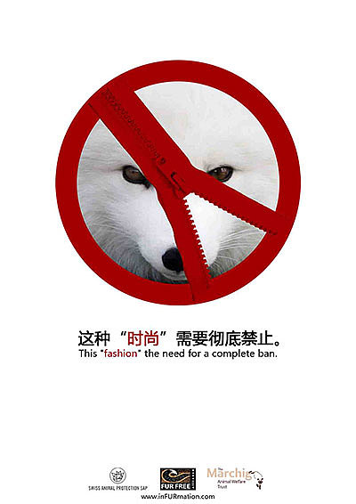 保护动物拒绝皮草海报图片