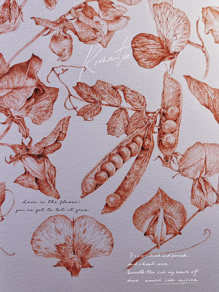 蘸水笔针管笔｜三种豆花科普（图ZMzY5Mzc3NDY4） - 艺术插画 - 站酷设计师CatCastleDZ原创素材 - 站酷ZCOOL