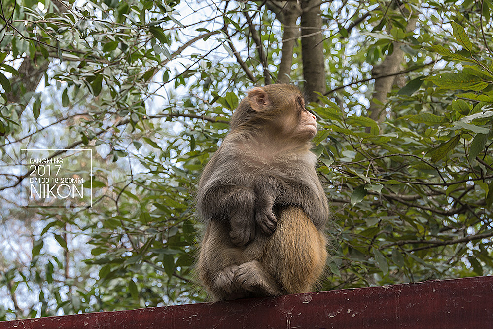 走过的是人群 穿过的是生活
