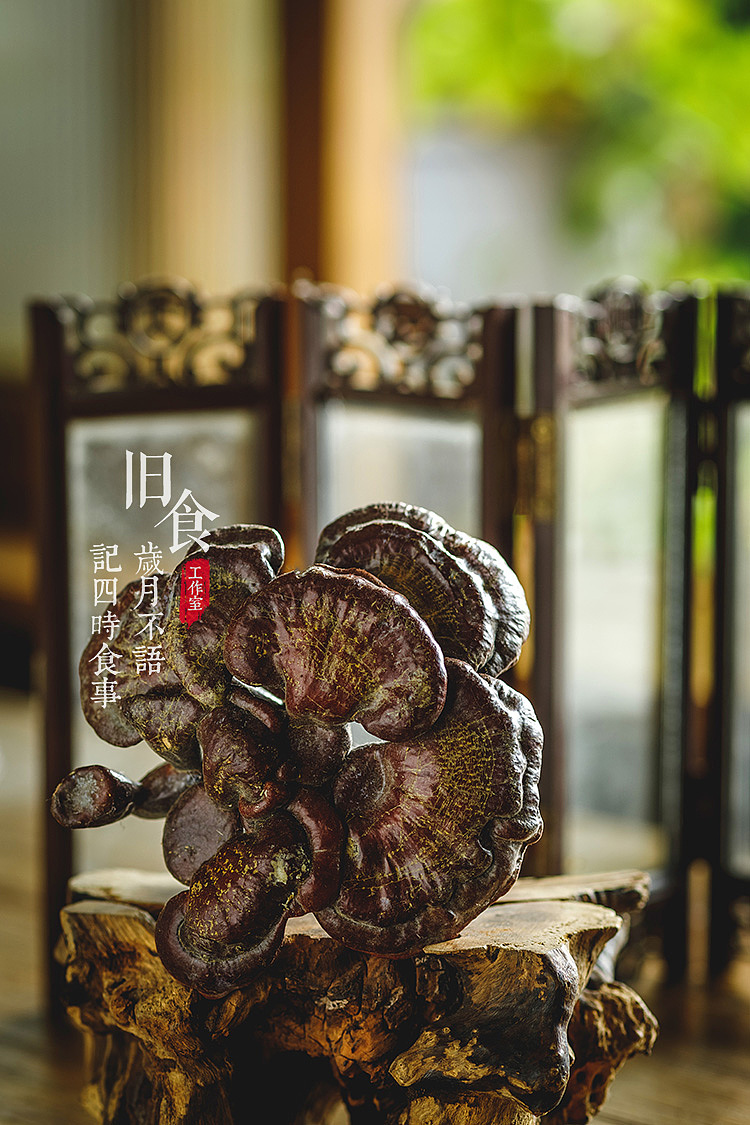 灵芝与菱角（图ZMjY5NjkwMTcy） - 美食摄影 - 站酷设计师旧食原创素材 - 站酷ZCOOL