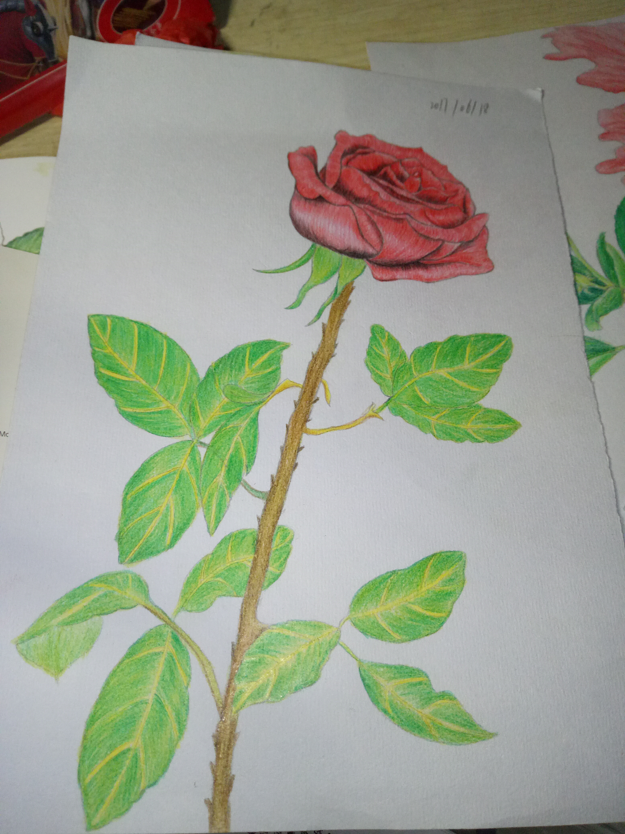 6月12-6月18彩铅绘画|其他|其他|小学生12 - 原创作品 - 站酷 (zcool)