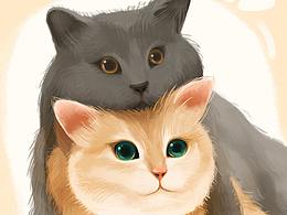 猫咪